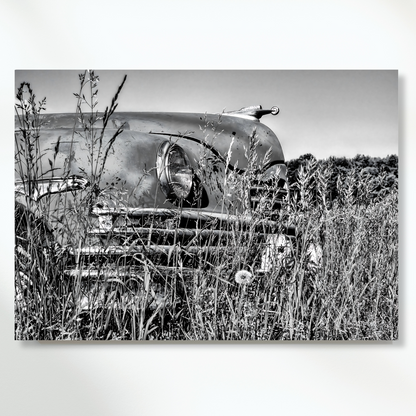 Vintage Car In A Field