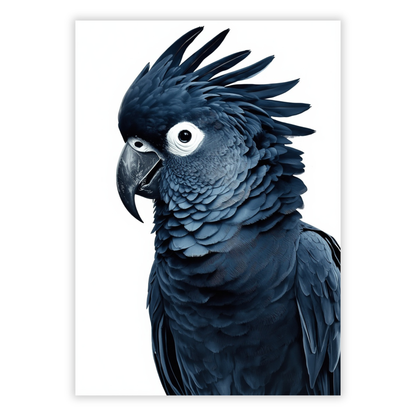 Black Cockatoo Indigo Wall Art Canvas Print