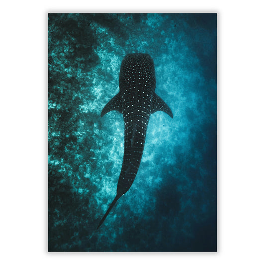 Whale Shark Wall Art Canvas Print