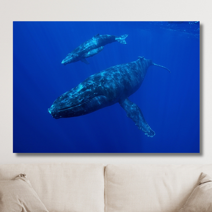 Whale & Calf Wall Art Canvas Print
