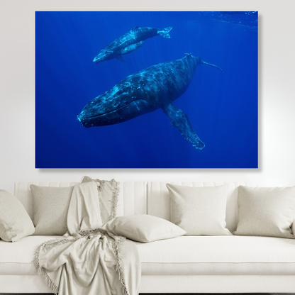 Whale & Calf Wall Art Canvas Print
