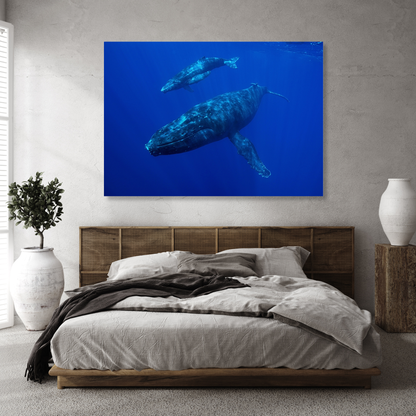 Whale & Calf Wall Art Canvas Print
