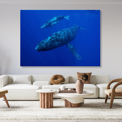 Whale & Calf Wall Art Canvas Print