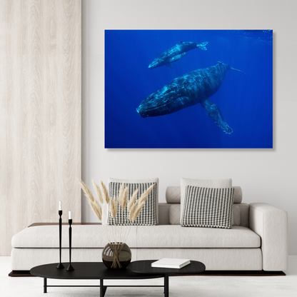 Whale & Calf Wall Art Canvas Print
