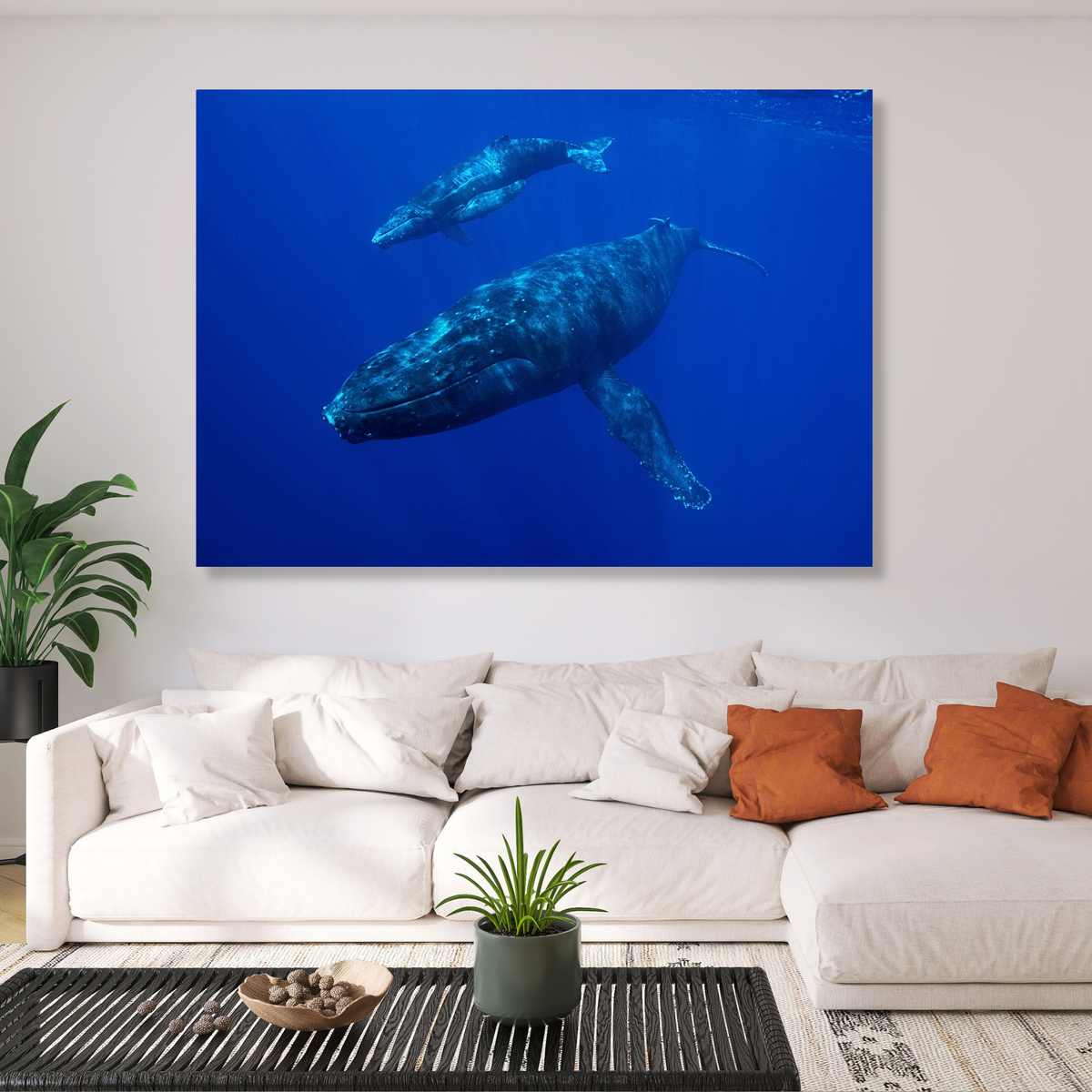 Whale & Calf Wall Art Canvas Print