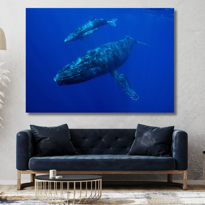 Whale & Calf Wall Art Canvas Print
