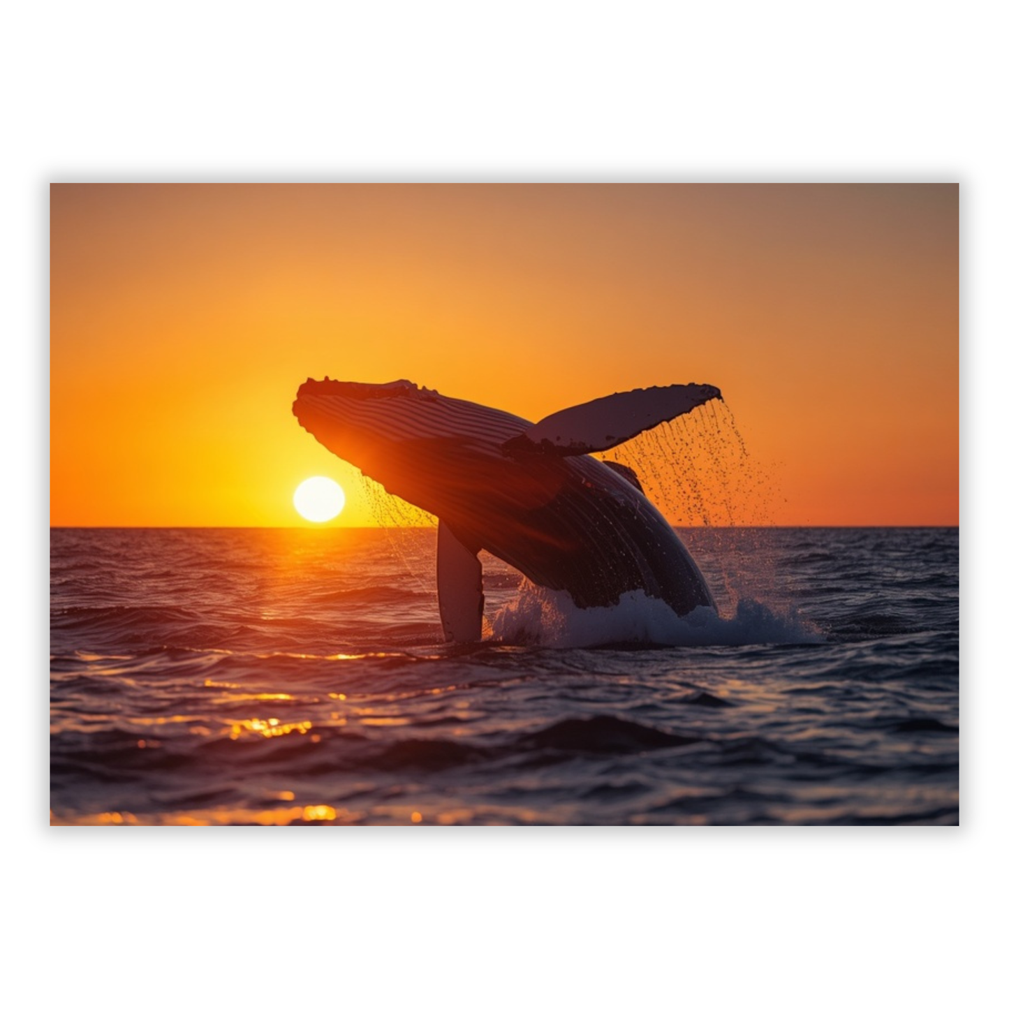 Whale Of A Time Wall Art Canvas Print