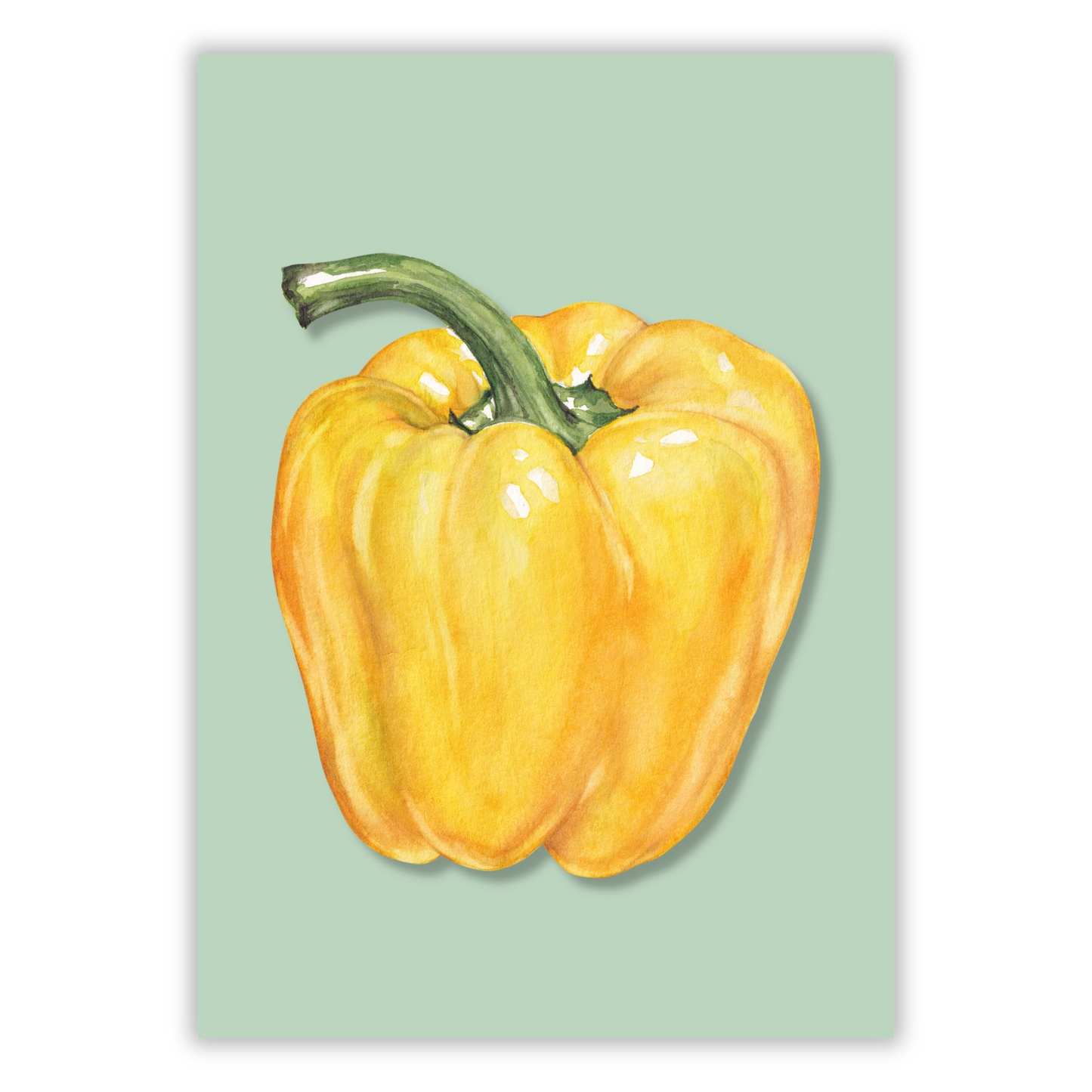 Yellow Capsicum Pepper Wall Art Canvas Print
