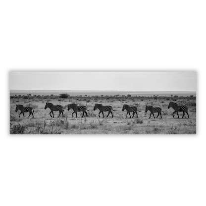Zebra's Crossing Panoramic Wall Art Canvas Print