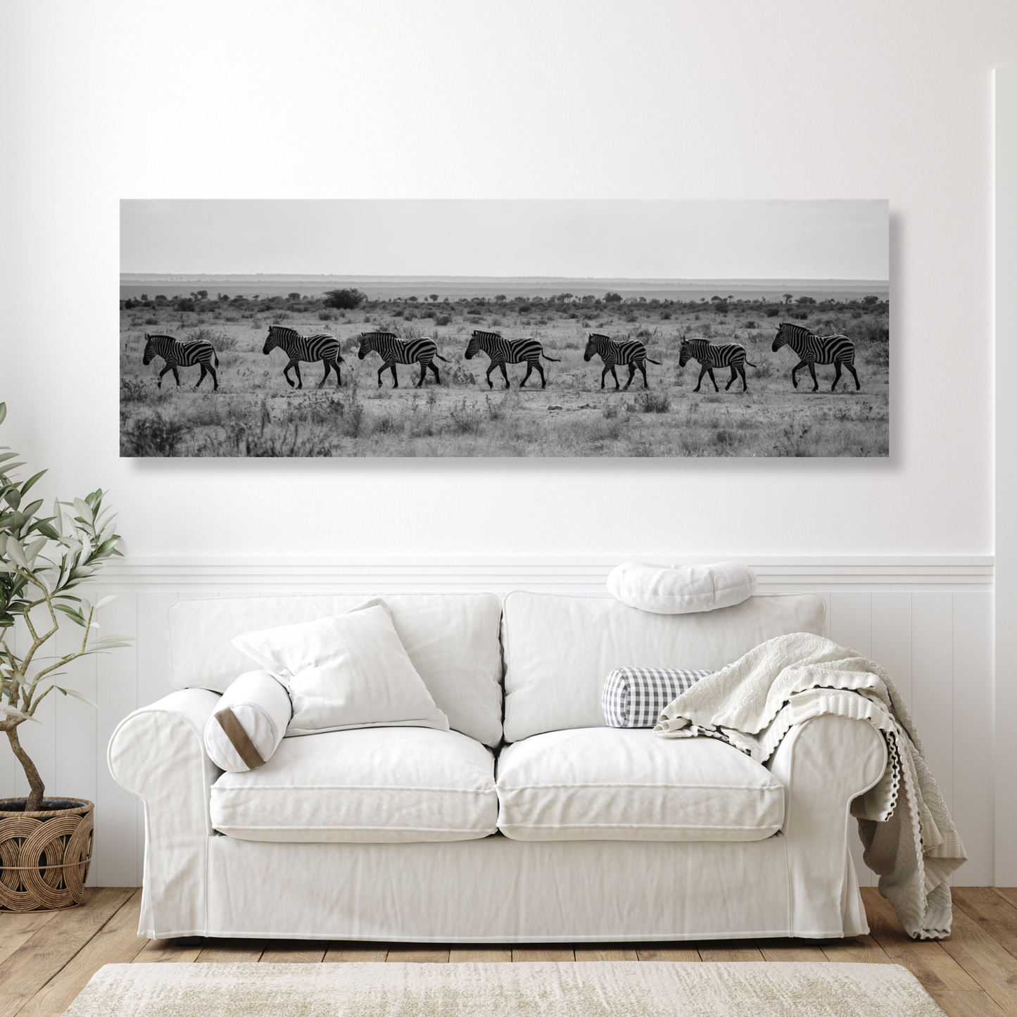Zebra's Crossing Panoramic Wall Art Canvas Print