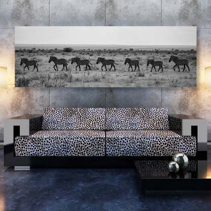 Zebra's Crossing Panoramic Wall Art Canvas Print